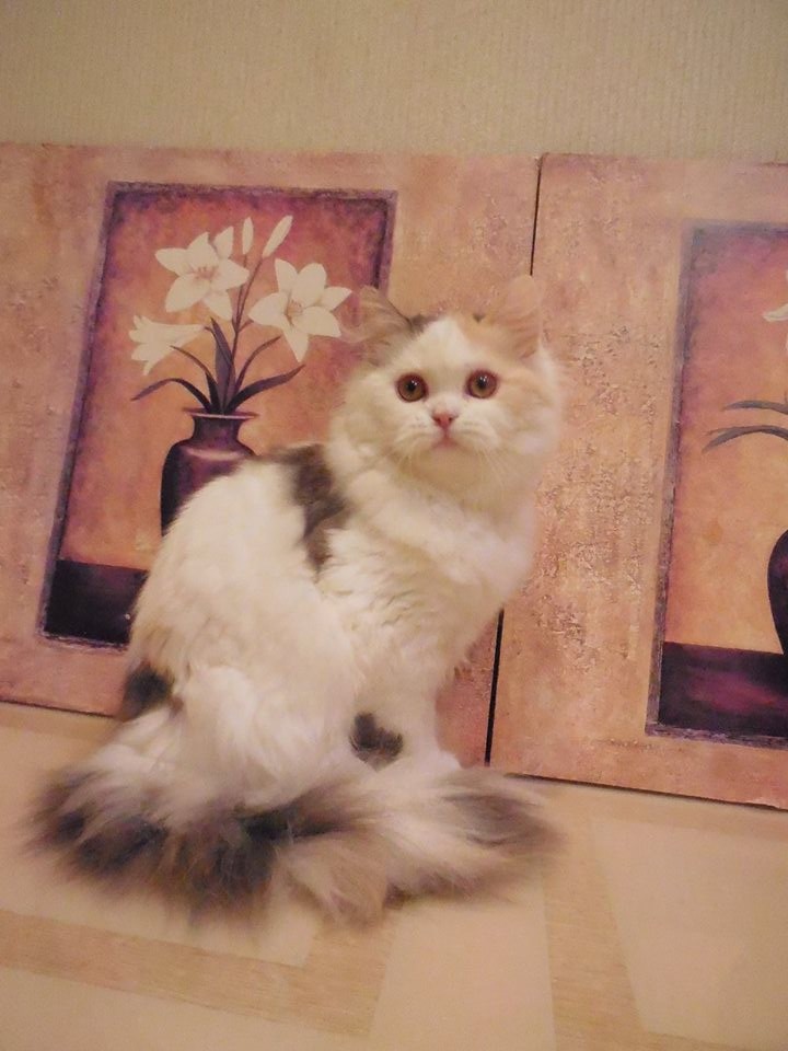 ru